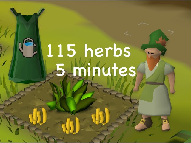 Efficient Herb Run  |  2024 Skilling Methods  |  OSRS