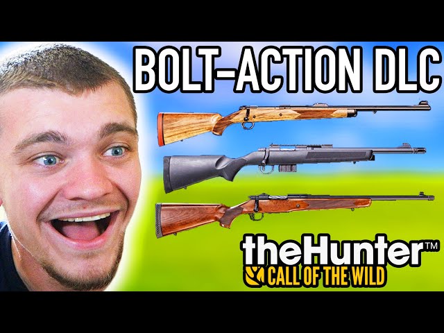 Testing the New Bolt Action Weapons! (375 H&H)