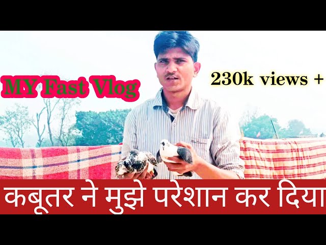 #MY FAST VLOG MY FAST VLOG #video VARAIL KARDO 😂 ssurav Joshi New VLOG