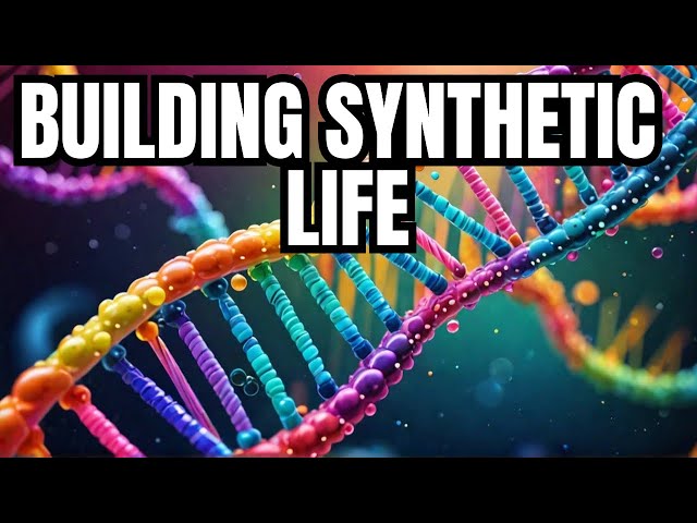 Building Synthetic Life from Scratch using Reaction-Diffusion Networks