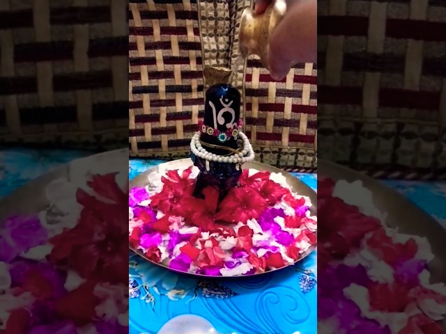 OM Namah Shivaya 🙏🙏🔱🕉💛🌻💚🌿❤️🌹#mahadev​ #mahakal​ #shiva​ #shiv​ #om​ #shortsfeed​ #shorts​ #viral​