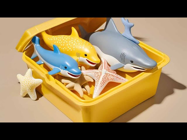 Tuklasin ang Sea Life Fun: Eel Fish, Pufferfish, Goldfish, Seahorse, #dolphin #shark #starfish