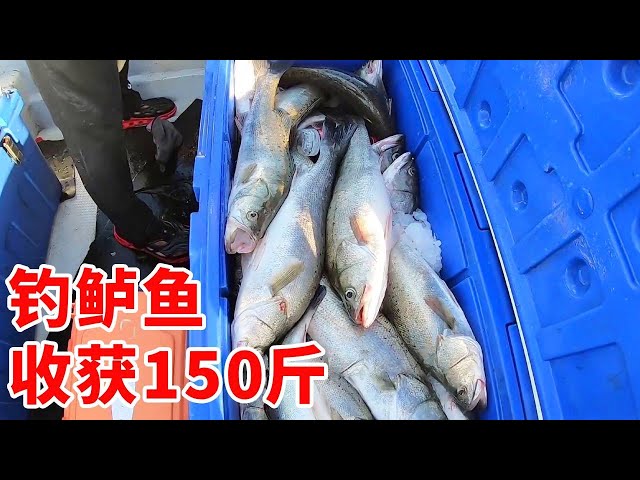 ジェイと仲間の二人は深海でスズキを釣り、魚は狂ったように噛まれ、今日も爆箱の一日である