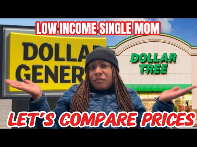 I’M POOR I need to live BELOW my means as a LOW INCOME SINGLE MOM no more Walmart for me!!! #vlog