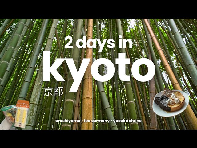 kyoto vlog | My Favorite Temple in KYOTO | Jojakkoji, Arashiyama, Tea Ceremony