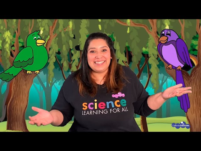 Kindergarten Life Science - Virtual Field Trip | California Science Center