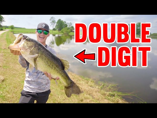 Catching a DOUBLE DIGIT Bass! (Bank Fishing)