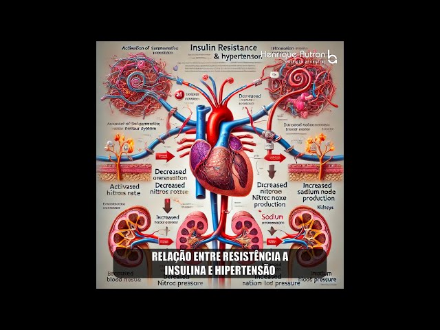 Relação entre Resistência a Insulina e Hipertensão