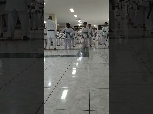 Kenaikan sabuk