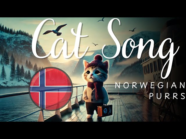 Cat Goes To Norway In Search Of Freedom And Adventure