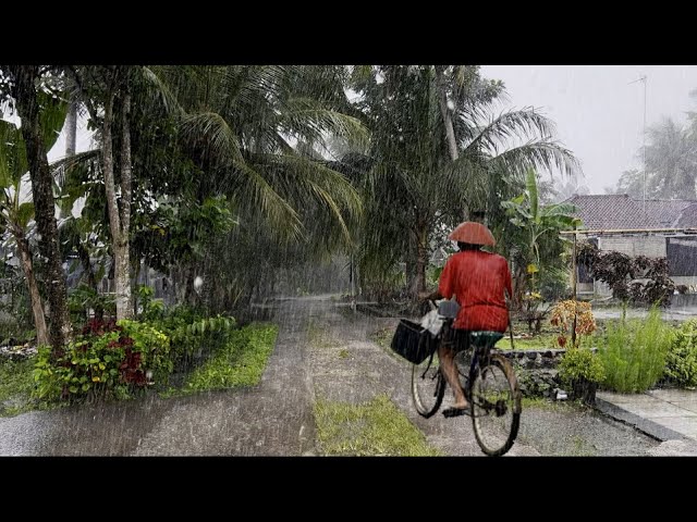 [4K] Beautiful Heavy Rain In Small Village-A Walk Exploring My Village in Heavy Rain