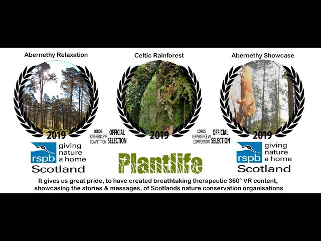 RSPB "Abernethy" 360 Showcase