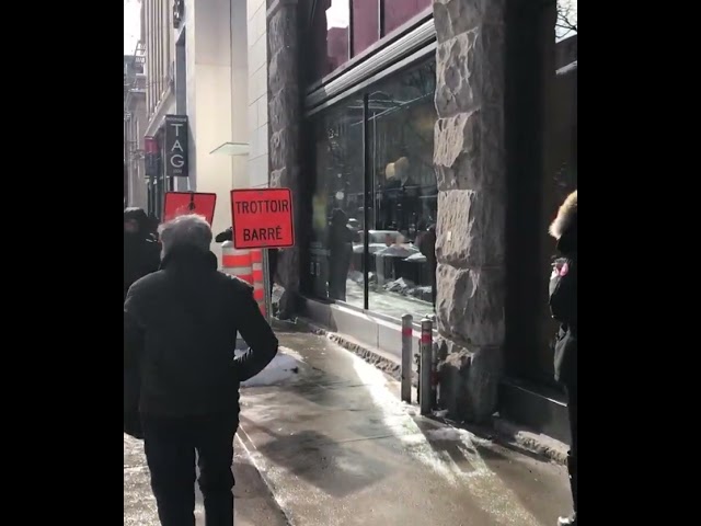 FUR WEARER WALKS THROUGH ANTI-FUR PROTEST