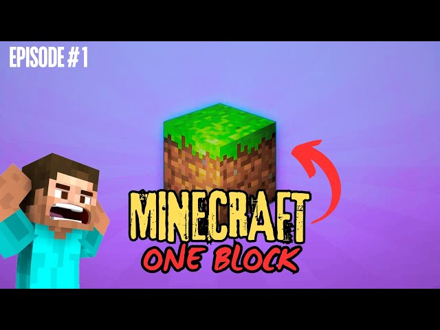 The Ultimate Guide to One Block Survival in Minecraft