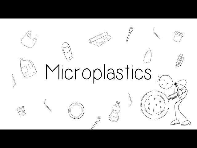 What are microplastics?