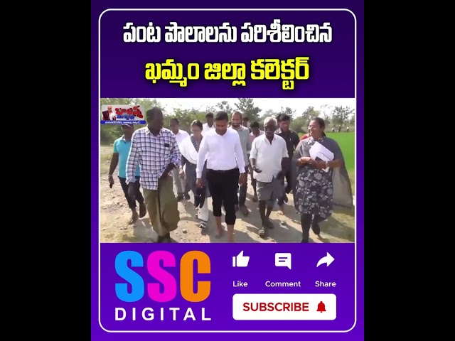 Collector Muzammil Khan Visited Farm Land in Khammam ||  #SSCDigital #BalannaMuchatlu