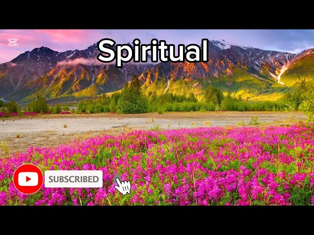 Meditation Music|Meditation Music For positive energy|2 Minute Meditation.