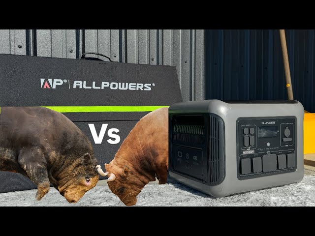 Can the Allpowers R2500 fix it?…..yes