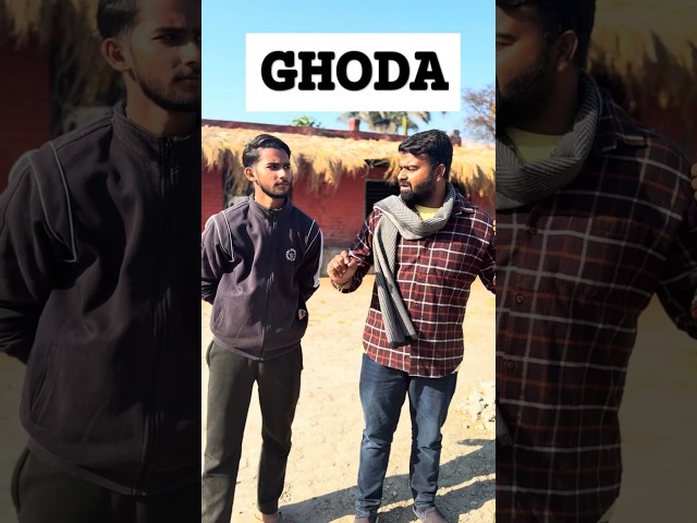 GHODA @TRI1PLEX /#shorts #horse #comedy #funnyshorts