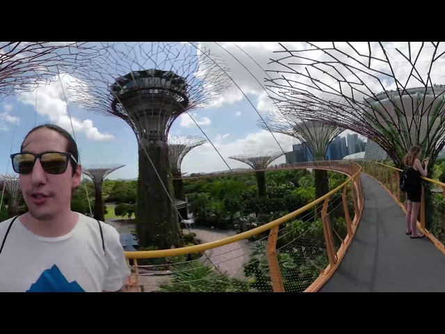 Supertree Observatory & OCBC Skyway - Gardens by the Bay