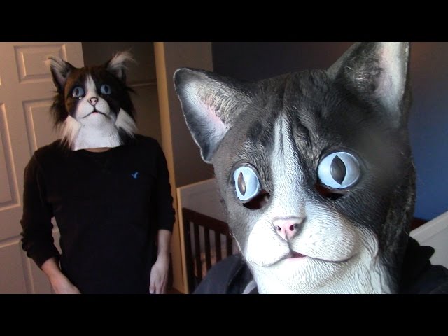 Creating Another Viral Video With CatDad For National Cat Day Fail!