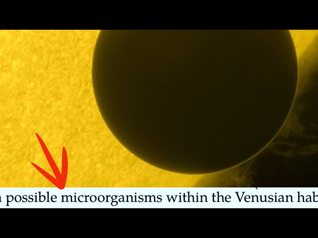 Life on Venus Possible Despite No Magnetic Field, New Study Says