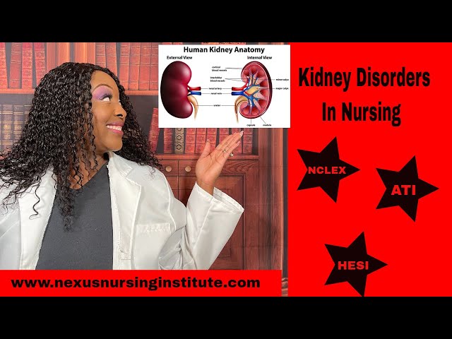 Kidney Disorders for NCLEX, ATI and HESI Exams