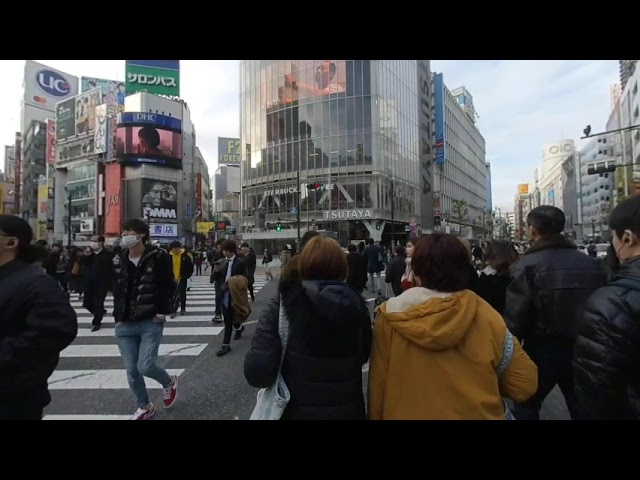 Shibuya Crossing (VR180)