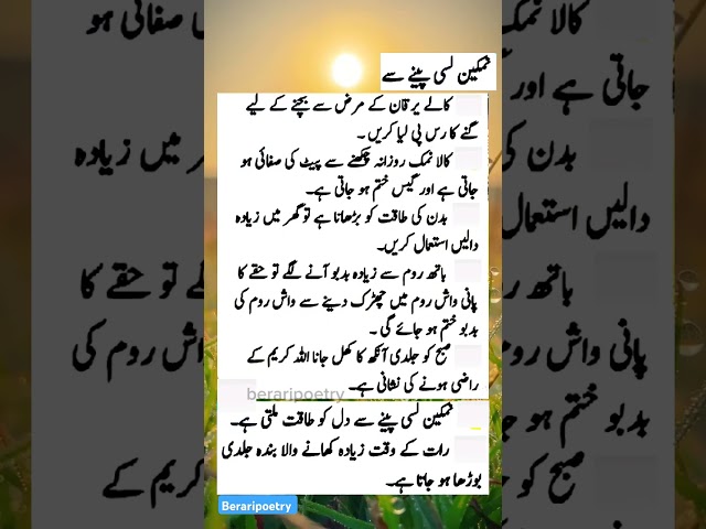 نمکین لسی پینا صحی ہے یا نہیں #shortvideo #truewordline #youtube #religiousquotes #fyp #video #hindi