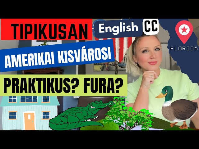 KISVÁROSI ÉRDEKESSÉGEK! PRAKTIKUS és FURCSA dolgok a FLORIDAI otthonoknál!