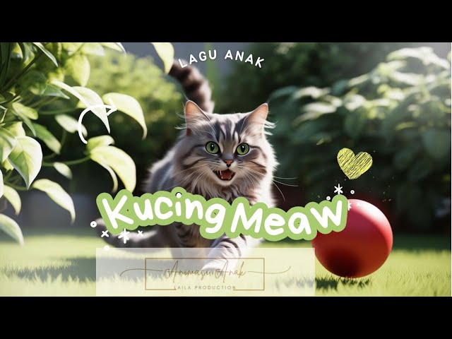 Lagu Anak kucing Meaw || Lagu anak Indonesia