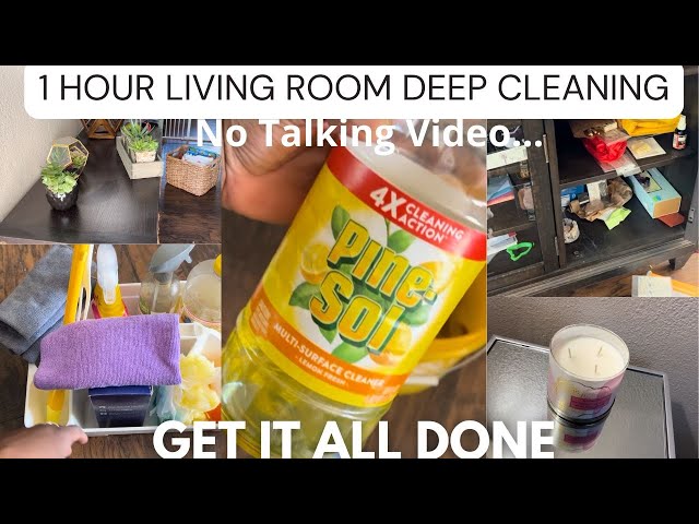 ONE HOUR LIVING ROOM DEEP CLEANING || GET IT ALL DONE || NO TALKING VIDEO