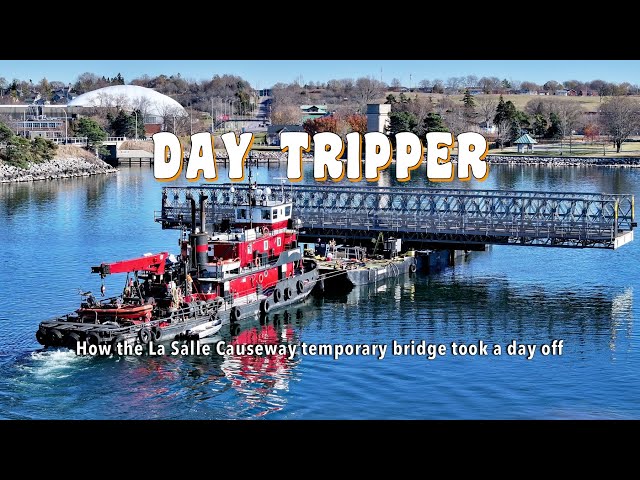 Day Tripper   4K