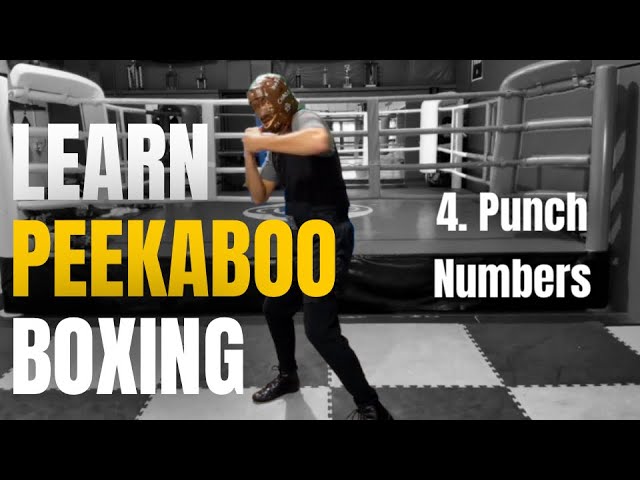 Peekaboo Level 1- (4) Punch Number System #peekaboo #miketyson #boxing