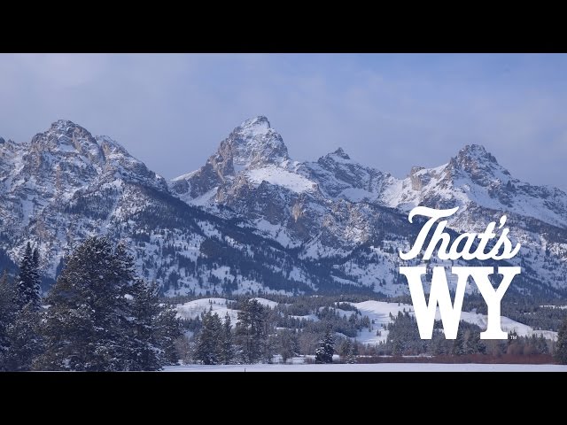 Enjoy a Cool View of the Teton Mountain Range