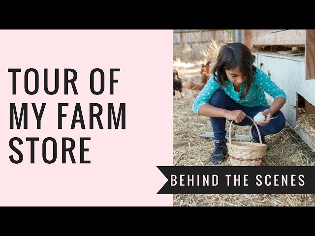 Farm Store vs. Self-Serve Farm Stand