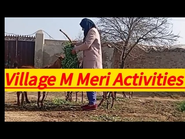 My Village life|Meri AJ ki Activities|Village life #villagelifevilog #villagevelog #villagertalant