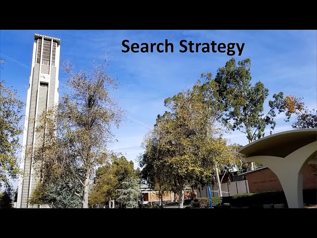 Search Strategy