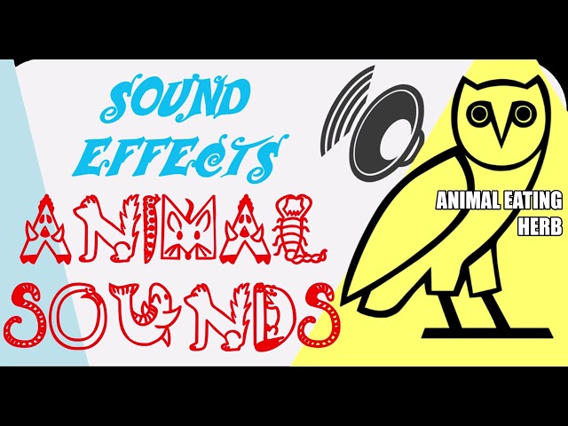 Animal Sounds | Eating Herb