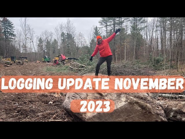 Well-Managed Forestry in Vermont | Selective Logging in our Forest Community