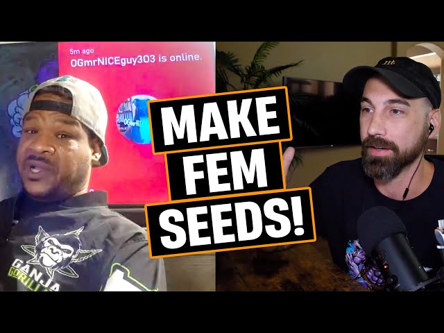 Plant Breeding: How To Create Feminized Seeds!