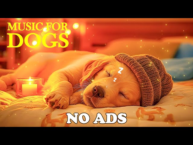 🔴NO ADS💖Dog Music🎵Top Relaxation Music to Calm Your Dog🐶🎵Separation Anxiety Relief Music