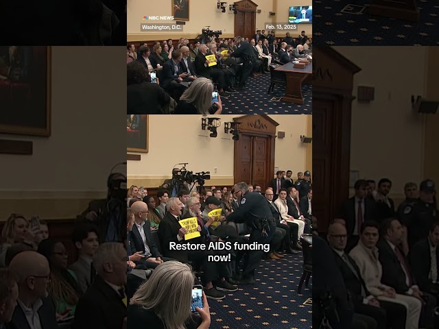 Protestors interrupt House hearing on USAID funding