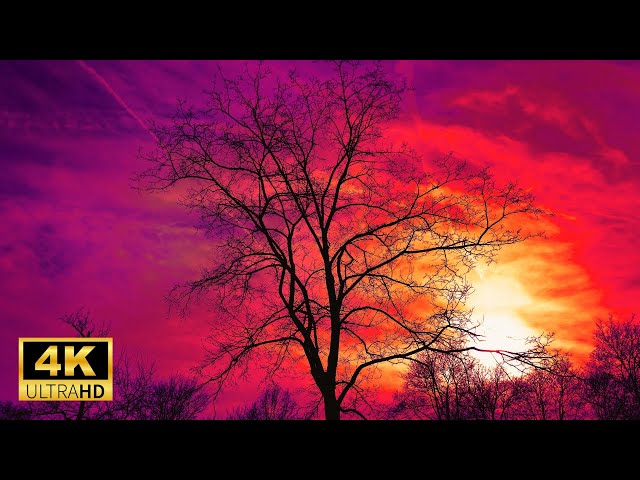 Relaxing Sunset Views in 4K | 1 Hour of Stunning Sunsets for TV Backgrounds