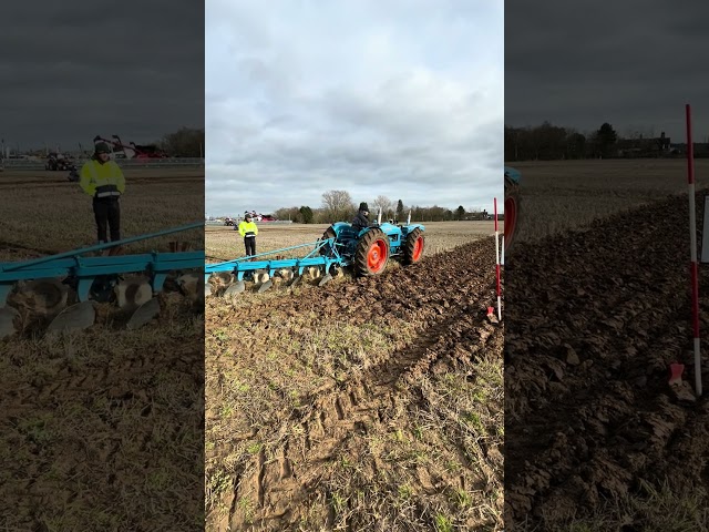 65th Doe Show Classic Tractors #farming #fordtractor #ernestdoe #doeshow #uk #backbritishfarming