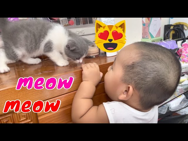 Cute Baby And Cat Play Together Too Funny Part 2 | Viral Pet