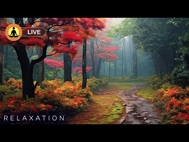 🔴 Relaxing Zen Music 24/7 🌿3319, Stress Relief Music, Sleeping Music, Meditation Music, Study, Calm