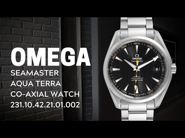 Omega Seamaster Aqua Terra Co-Axial Watch 231.10.42.21.01.002 Review | SwissWatchExpo