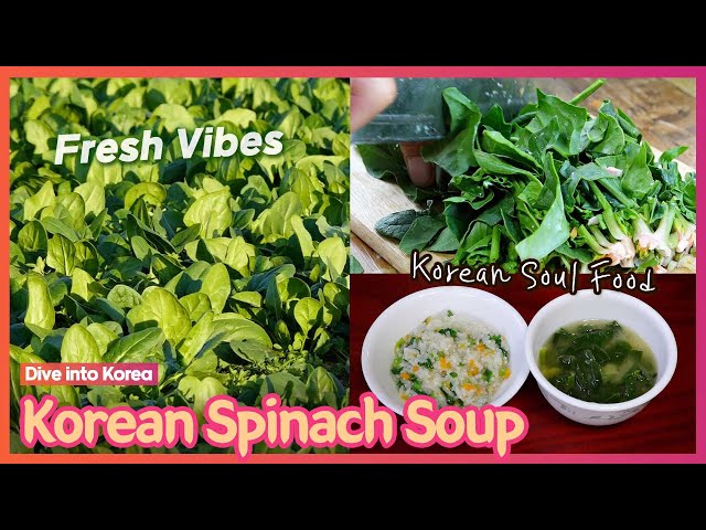 Korean Spinach Soup in the Making: Picking, Cleaning, and Cooking! Korean Food #포항시금치 #한국인의밥상 #된장국