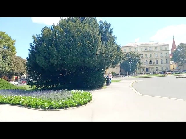 croatia #shorts #travelvlog #croatia